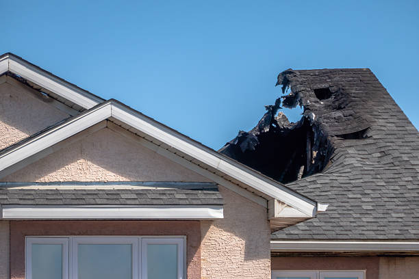Top rated local Fire Damage Removal specialists in Lorton, VA